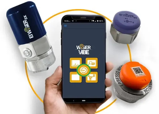 A Vibration Analysis App with Many Options